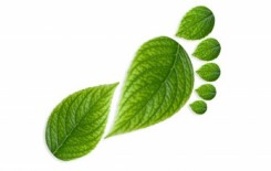 Empreinte écologique