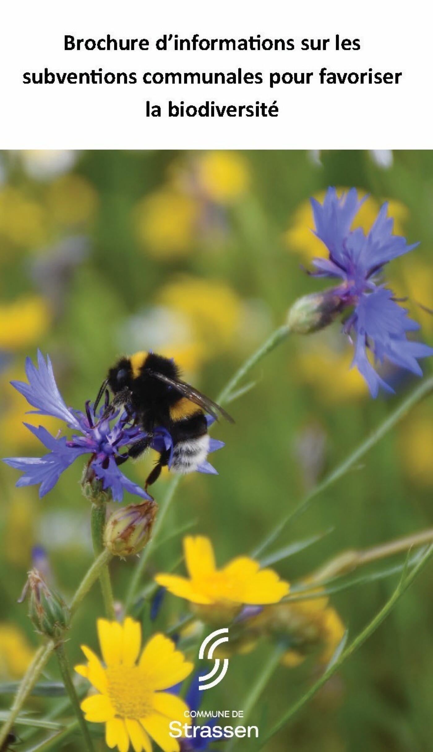 Brochure d'informations sur les subventions communales pour favoriser la biodiversité