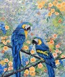 Papageien