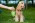 Chien