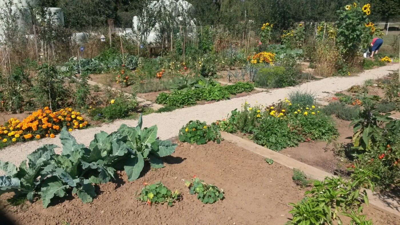 Jardins communautaires