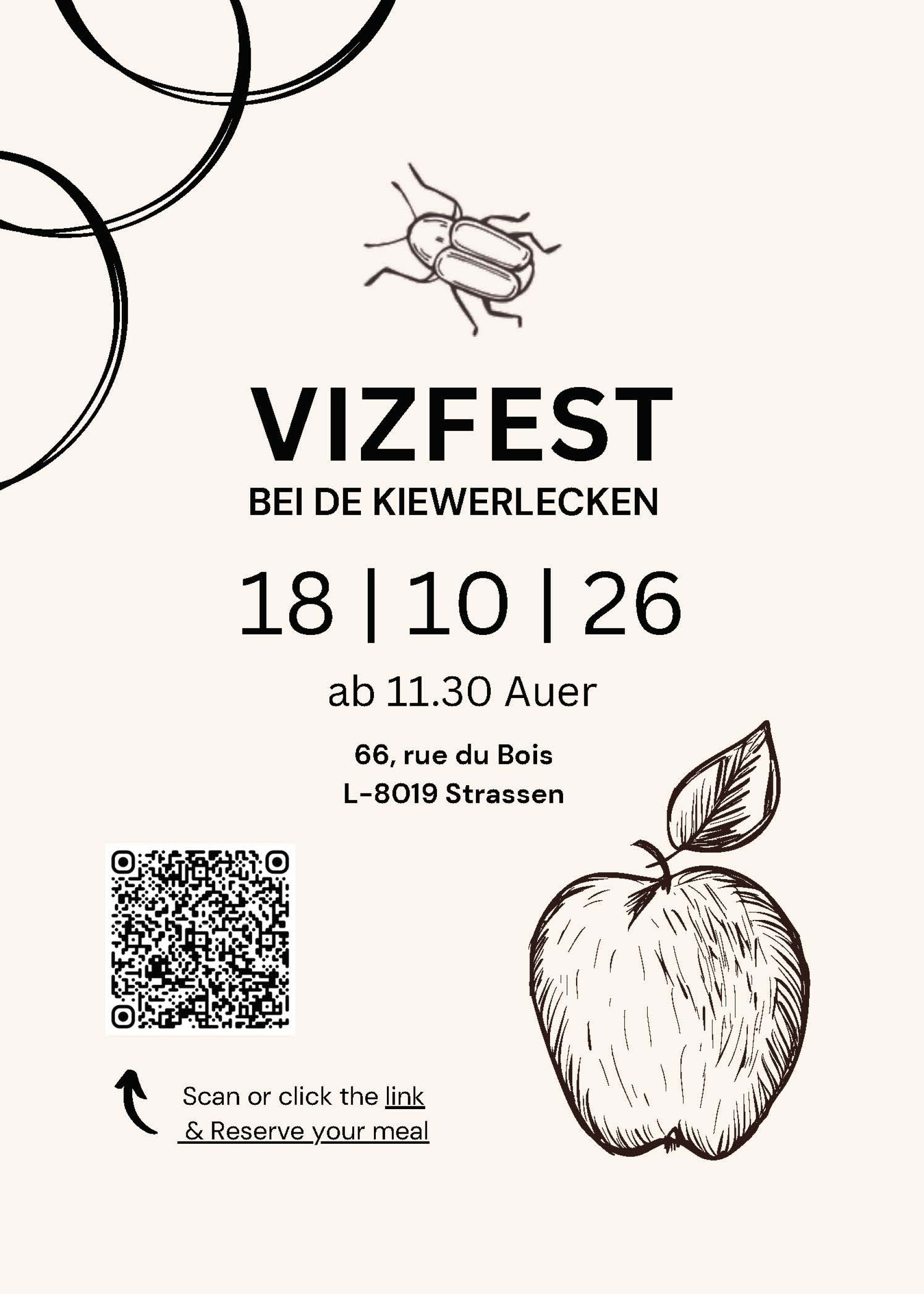 Vizfest
