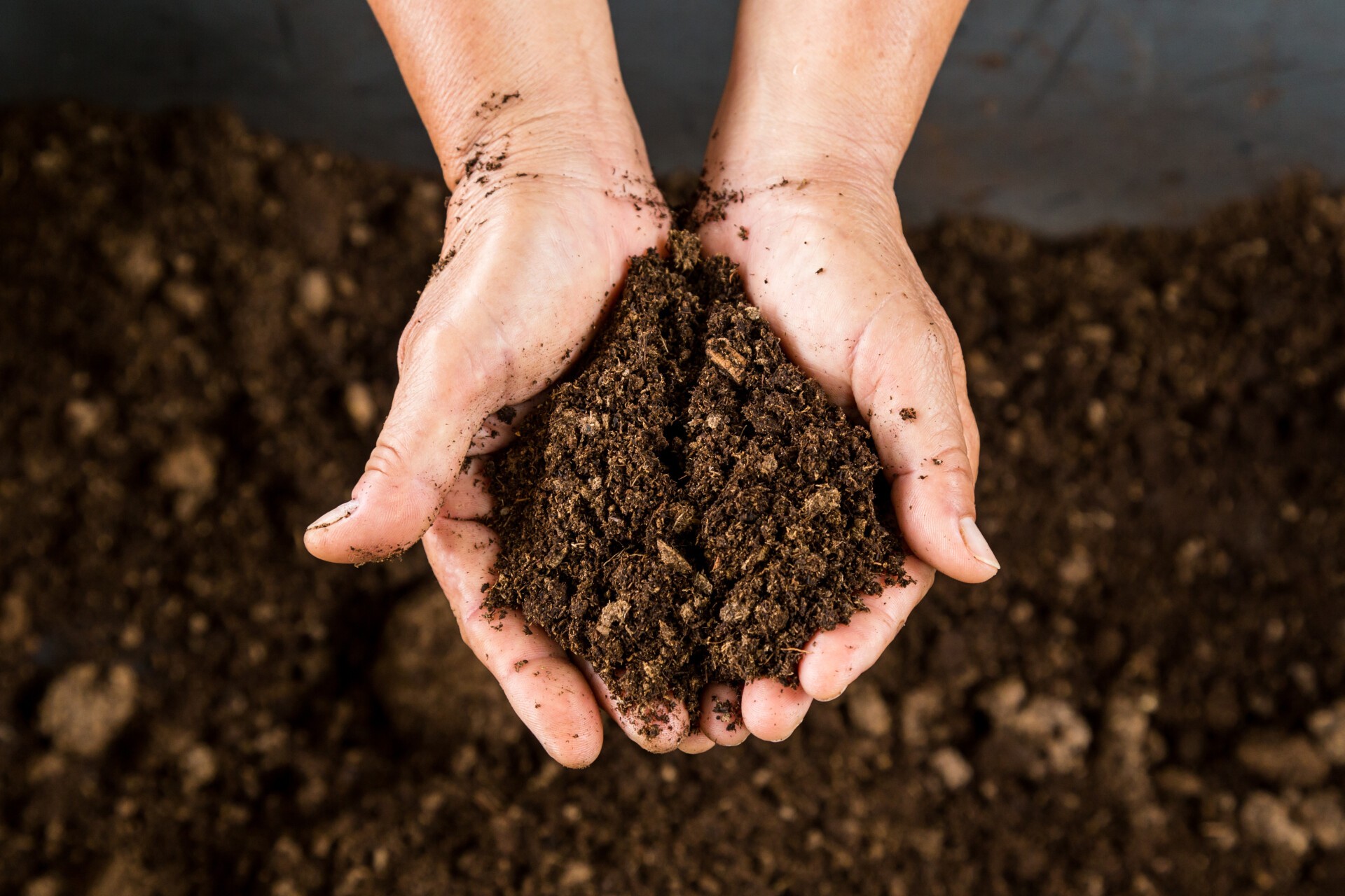 Compost Gratuit