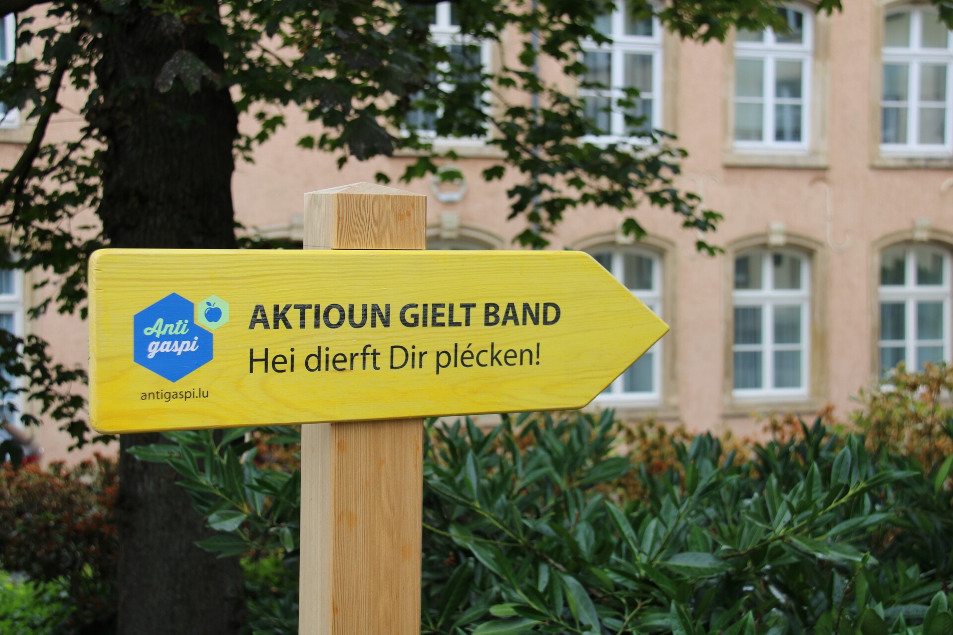 Aktioun "Gielt Band" - Anti gaspi